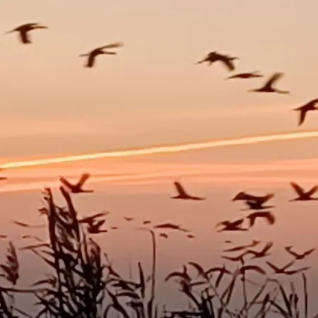דירה Seeadler - Heuser *