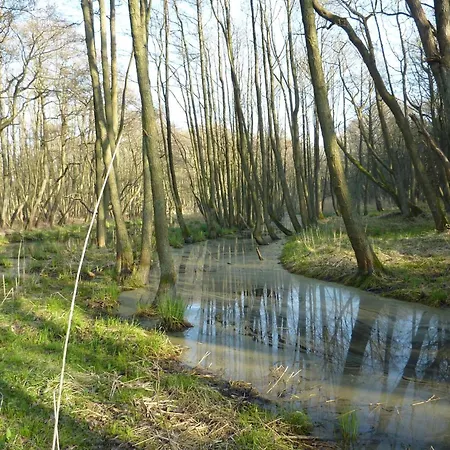 Apartamento Seeadler - Heuser Prerow