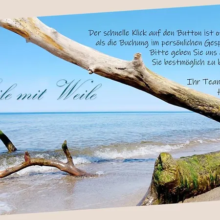 Seeadler - Heuser