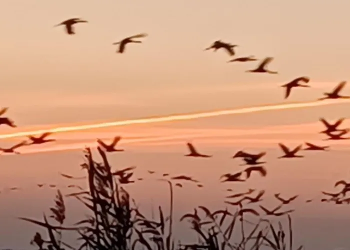 公寓 Seeadler - Heuser *