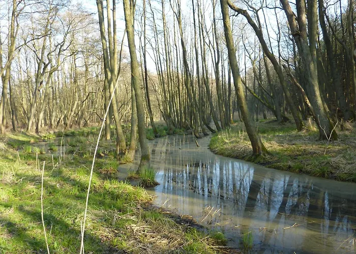 公寓 Seeadler - Heuser 普雷罗