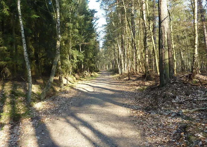 Seeadler - Heuser 公寓 *